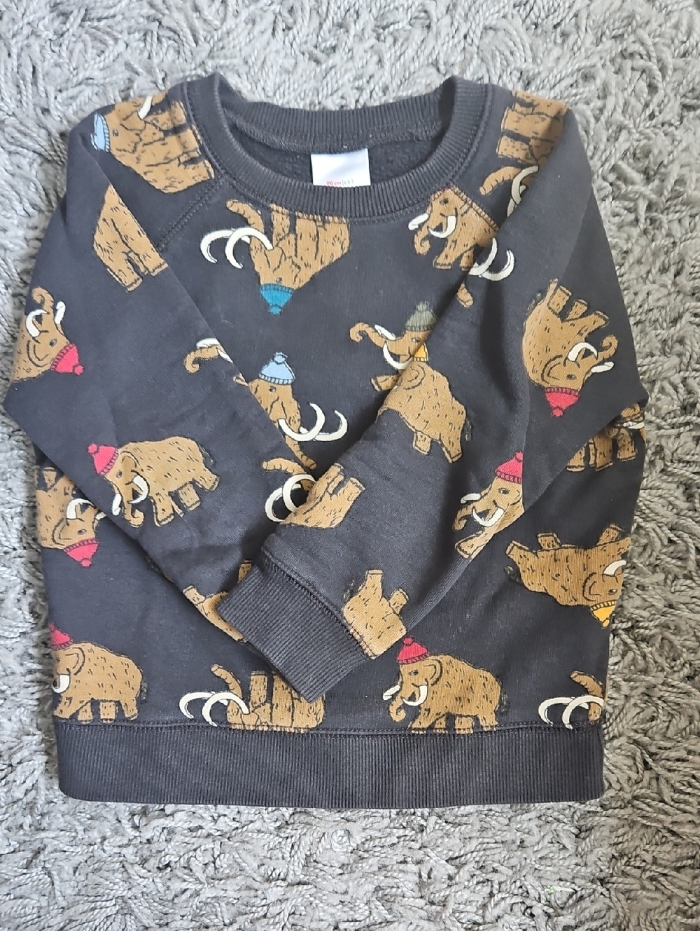 Hanna Andersson Charcoal Wooly Mammoth Print Sweatshirt with Multicolor Hats